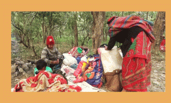 डेढ दशकदेखि बाढीपीडितको जंगलमै बास