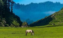 पर्यटकीय विकासका लागि गुरुयोजना