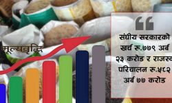 सरकारले सोचेभन्दा बढी महङ्गी