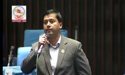 संविधान निर्माणमा नेम्वाङको भूमिका उल्लेखनीय छ : बर्तौला