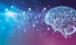 स्मरण शक्ति बढाउने प्रभावकारी तरिका