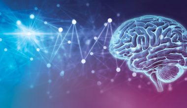 स्मरण शक्ति बढाउने प्रभावकारी तरिका