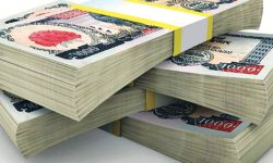 रामपुर मेलाबाट एक करोड आठ लाख बराबरको आम्दानी