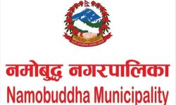 नमोबुद्धद्वारा आजदेखि श्रम स्वीकृति प्रदान