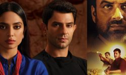 ओटीटीका महंगा सिरिज