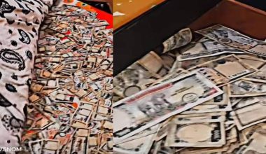 पैसाको थुप्रो माथि सुतेको भिडियो बनाउने कारण यस्तो रहेछ