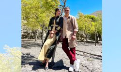 अभिनयमा फर्किए पल