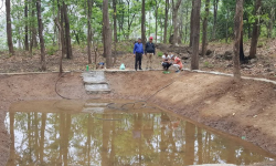 वनभित्र संरक्षण पोखरी