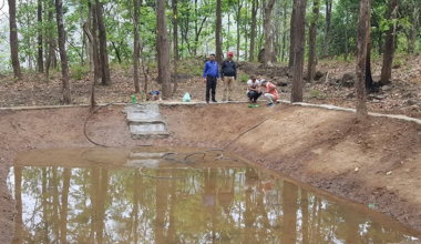 वनभित्र संरक्षण पोखरी