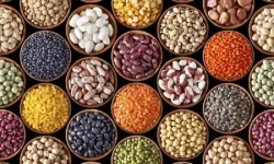 किसानलाई तरकारी बीउ वितरण