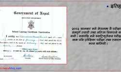 एसईईको इतिहास