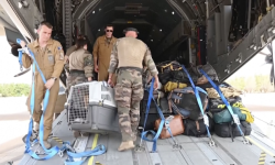 सुडानबाट आफ्ना नागरिकलाई उद्धार गर्दै बेलायत