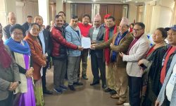 शिक्षामा २० प्रतिशत बजेट विनियोजन गर्न माग