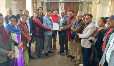 शिक्षामा २० प्रतिशत बजेट विनियोजन गर्न माग