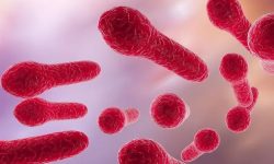 अस्ट्रेलियामा सन् १९९३ पछि पहिलो पटक टिटानस सङ्क्रमणबाट एकको मृत्यु