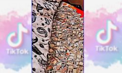 पैसा बिच्छ्याएर टिकटकमा भिडियो पोष्ट गर्ने व्यक्तिलाई सचेत गराइयो