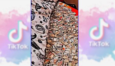 पैसा बिच्छ्याएर टिकटकमा भिडियो पोष्ट गर्ने व्यक्तिलाई सचेत गराइयो