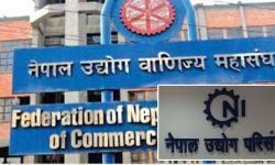 अर्थतन्त्र सुधार्न महासङ्घ र परिसङ्घले सहकार्य गर्ने