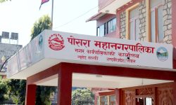 उद्यमशीलता तालिम प्रदान गर्दै पोखरा महानगरपालिका