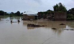 बाढीपीडितले पाएनन् घर बनाउन राहत रकम