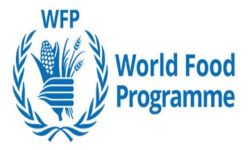 विश्व खाद्य कार्यक्रमले सुडानमा पुनः काम थाल्यो