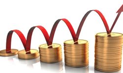 कर्जा पाउन २१३ स्टार्ट-अप उद्यम अयोग्य