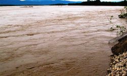 नारायणी नदीले सतर्कता तह पार गर्यो