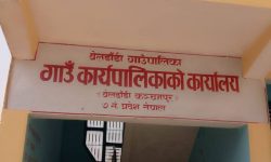 न्यायिक समिति संयोजकको दुखेसोः ‘जिम्मेवारी पायौँ, जनशक्ति भएन’