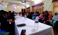 जनमत पार्टीको केन्द्रीय समिति बैठक सुरु