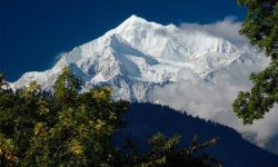 लोप हुँदै गएको हिमनदीले उच्च पहाडको जैविक विविधताकाे खतरामा