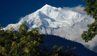 लोप हुँदै गएको हिमनदीले उच्च पहाडको जैविक विविधताकाे खतरामा