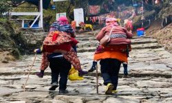 पाथीभरा दर्शनलाई सजिलो बनाउने मानव ट्याक्सी