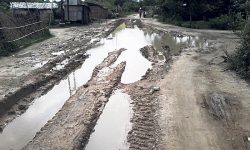 हुलाकी राजमार्गको विकासक्रम