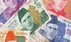 राजनीतिक अस्थिरताका कारण पाकिस्तानी रुपैयाँको अवमूल्यन हुँदै