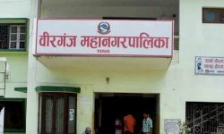 महानगरले एकै पटक सोध्यो २४ शिक्षकसँग स्पष्टीकरण