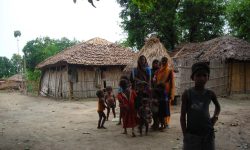 योजना तर्जुमा मै समेटिदैनन् सीमान्तकृत समुदाय