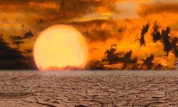 नेपालमा खाद्य असुरक्षा र जलवायु परिवर्तनका असर बढ्दो : आईएमएफ कन्ट्री रिपोर्ट