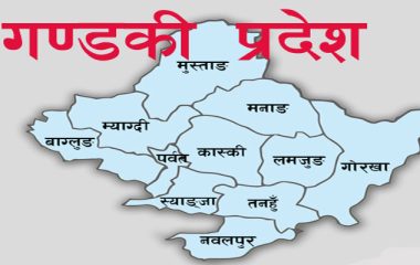 गण्डकी प्रदेशका २६ सहकारीको दर्ता खारेजी