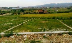 घरजग्गा कारोबार : सबैभन्दा बढी झापामा हुँदा अन्य जिल्लामा कति ?