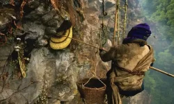 कहाली लाग्दा भीरमा महको सिकार