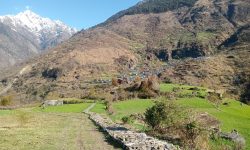 साईपालमा खाद्य सङ्कट, सिंहदरबार नधाएर पुग्दैन चामल