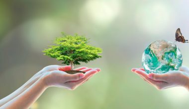 आज जैविक विविधता दिवस