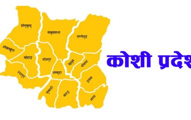 प्रतिनिधिसभा निर्वाचन : कोशी प्रदेशको २८ निर्वाचन क्षेत्रमा ५०४ जनाको मनोनयन दर्ता