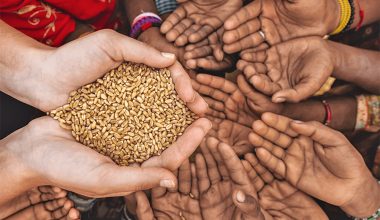 कर्णालीमा पोषणको अवस्थामा सुधार