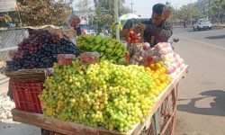 ठेला व्यापारबाटै मनग्य आम्दानी