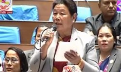 ‘कोही माननीय सदनमा नांगिएर परेड खेल्छन्’