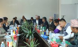 अर्थ समितिको पहिलो बैठक : अर्थतन्त्र सुधारदेखि स्टक लाइसेन्सबारे छलफल