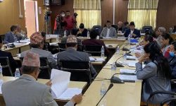 विधेयक निष्कर्षमा पुर्‍याउन उपसमिति गठन