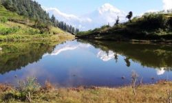 निस्कोट बराह तालको जैविक विविधता नासिँदै