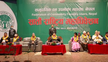 काठको आयात प्रतिस्थापन गर्दै निर्यातमा जोड दिनुपर्छ : प्रधानमन्त्री दाहाल